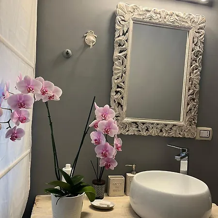 Apartament Casa Blanche