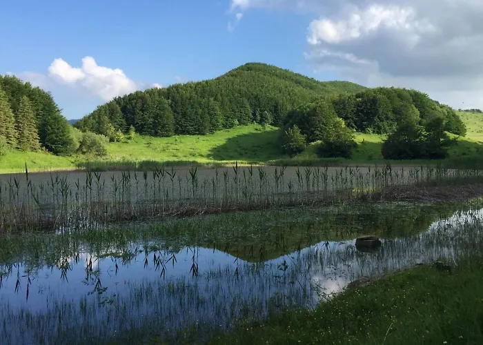 Casa Blanche 公寓 法纳诺