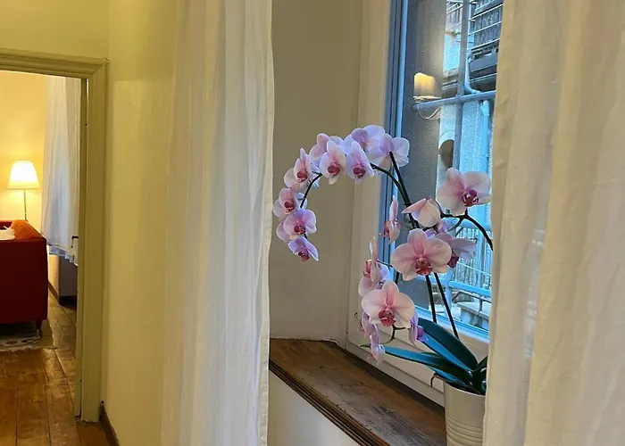 公寓 Casa Blanche *